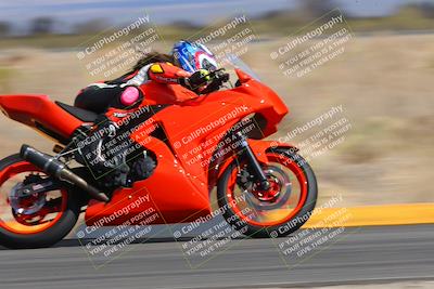 media/Feb-24-2023-Apex Assassins (Fri) [[1dfdb28110]]/Trackday 2/Session 3 (Turn 16)/
